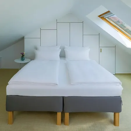Hotel Rugs